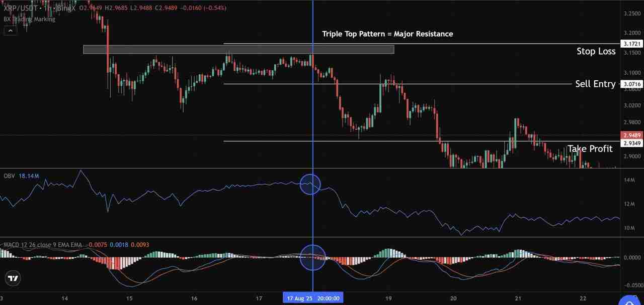 加密货币中的OBV(平衡成交量)是什么?如何用它来判断买卖压力?